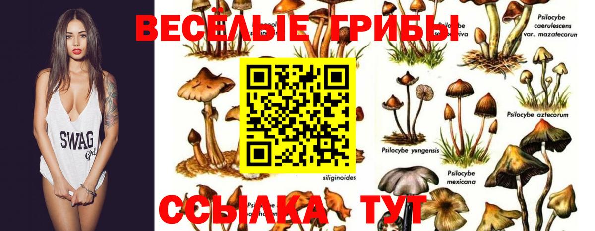 Карпинск  Галлюциногенные грибы прущие грибы  Галлюциногенные грибы GOLDEN TEACHER  Вход с VPN 